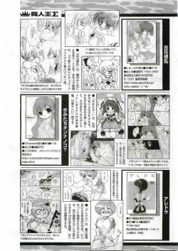 Page 251 of COMIC Papipo 2005-06