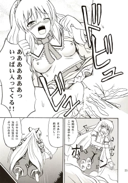 Page 24 of Touhou Youjo Ranbu
