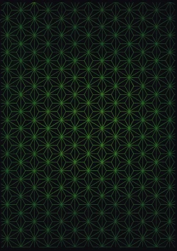 Page 26 of Honno Polygraph