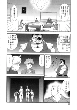 Page 67 of Reijyo Houkai