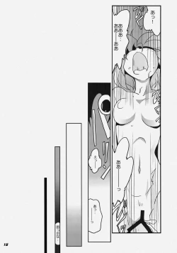 Page 18 of TOHO N+ FCR