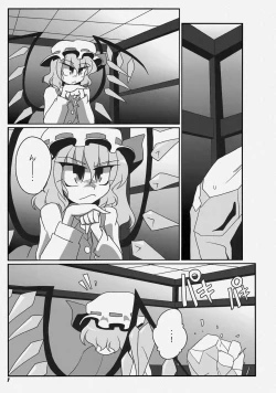 Page 4 of TOHO N+ FCR