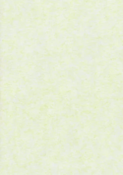 Page 2 of TOHO N+ LL&MSA Type-R