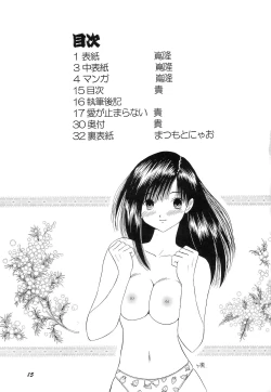 Page 14 of HOHETO 29