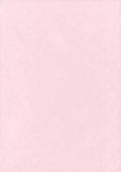 Page 3 of Kyou no Destiny Record