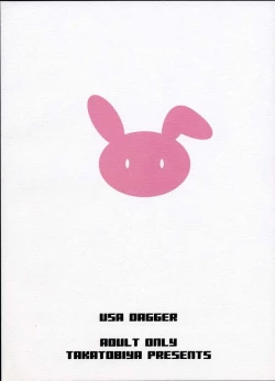 Page 14 of USA DAGGER