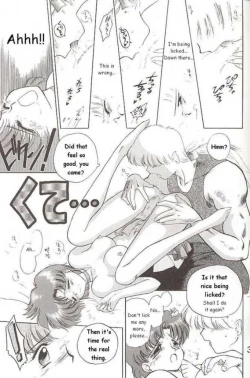 Page 29 of Submission Mercury Plus