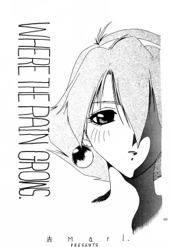 Page 38 of Akai Saikouku II