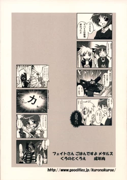 Page 30 of Fate-san Gohan Desuyo! Metals