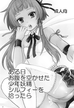 Page 3 of Aruhi Onaka o Sukaseta Shounen Yousei Sylphie o Hirottara