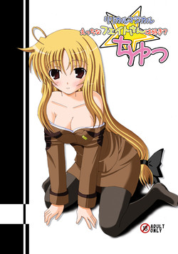 Download Lyrical Magical Ecchi na Fate-san wa Suki? 2