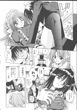 Page 21 of Palladium Garden