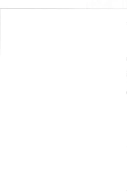 Page 19 of Mou Dounimo Tomaranai