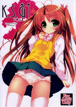 Page 1 of K.S.G Vol.11