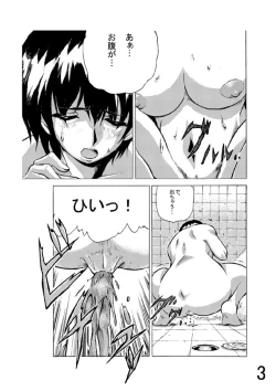 Page 18 of Hoteisou book