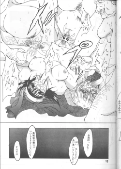 Page 14 of CHAOS STEP 1+2