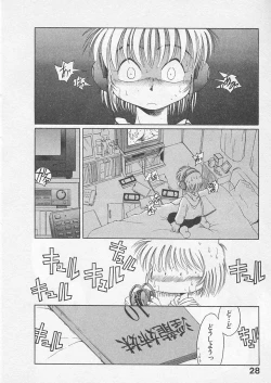 Page 27 of Itoshi no Virgin VOICE