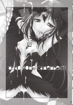Page 3 of MadoHomu Camembert