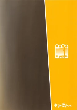 Page 30 of in public lite