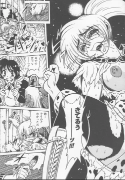 Page 77 of Shirayuri no Kenshi Anthology Comics