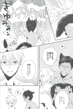 Page 14 of Kimi to Nekomimi