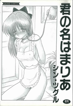 Page 2 of Kimi no Na wa Maria