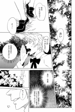 Page 7 of Doddy Bunny