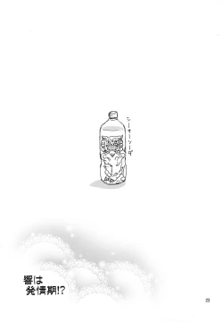 Page 22 of Hibiki wa Hatsujouki!?