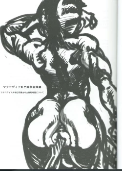Page 2 of マラコヴィア肛門闘争術概要 マラコヴィア少年肛門闘士の土俗的奇習について