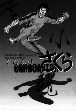 Page 6 of Cardcaptor Sakura CLANKE