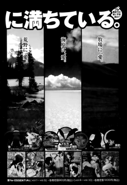 Page 88 of Bishoujo Kakumei KIWAME Road Vol.11