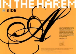 Page 2 of IN THE HAREM A SIDE