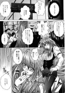 Page 28 of COMIC Mega GOLD 2007-09 Vol.3