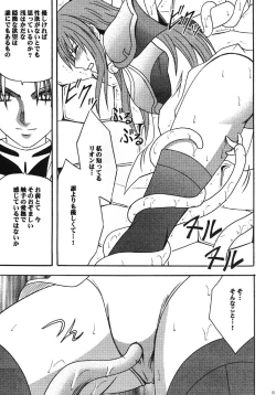 Page 14 of Monshou Soushuuhen