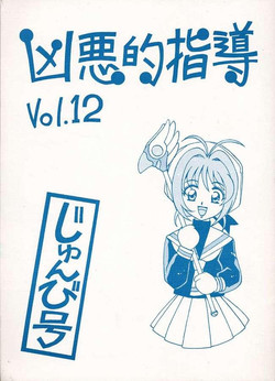 (C56) [Bible (Ogata Satomi)] Kyouakuteki Shidou Vol. 12 Junbigou (Cardcaptor Sakura)
