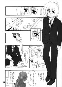 Page 3 of Hina to Hayate 2