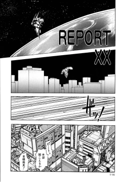 Page 117 of Retsujyou Zukan