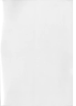 Page 2 of Water lily III