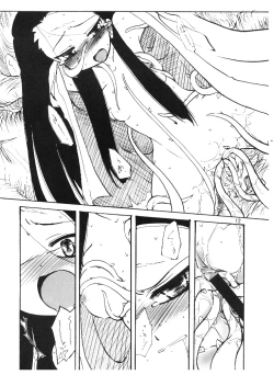 Page 11 of 14 Gurui