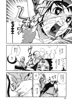 Page 36 of Last Pirontan