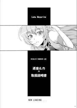 Page 2 of Megurine Luka no Toriatsukai Setsumeisho