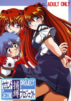 (CR36) [Thirty Saver Street 2D Shooting (Maki Hideto, Sawara Kazumitsu)] Second Hobaku Project (Neon Genesis Evangelion)