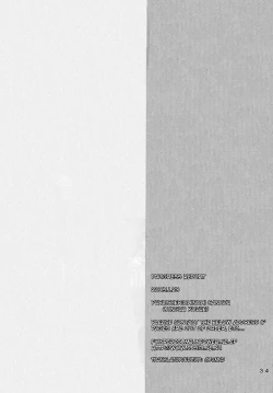 Page 33 of Keika Houkoku | Progress Report