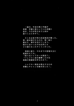 Page 4 of Tenimuhou 3 - Another Story of Notedwork Street Fighter Sequel 1999