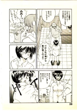 Page 31 of Seiken Cinderella