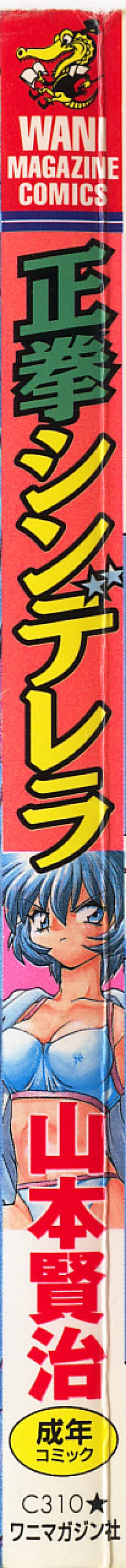 Page 3 of Seiken Cinderella