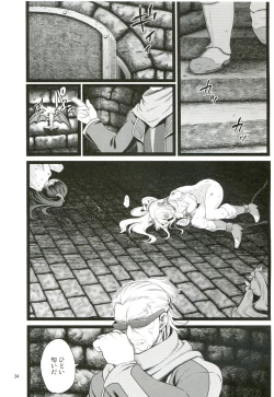 Page 33 of Aigan Senshi