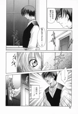 Page 13 of Tojita Kioku Yoru ni Naku Tori