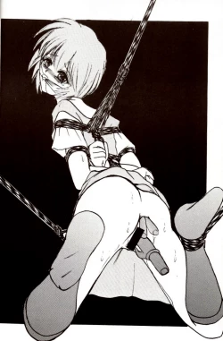 Page 35 of Second Hobaku Project 2