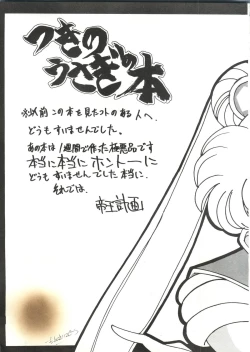 Page 4 of Sailor Moon Mate 01 - Usagi